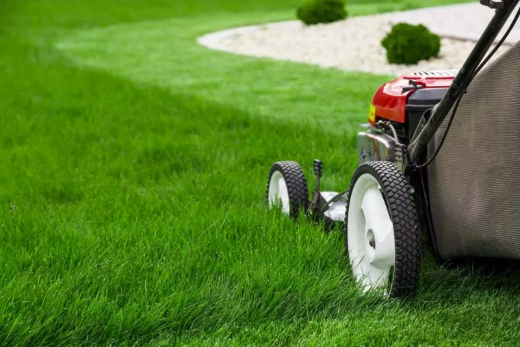 Comment tondre de l'herbe haute et humide ?, Ferrals-les-Montagnes, Lenne Paysagiste